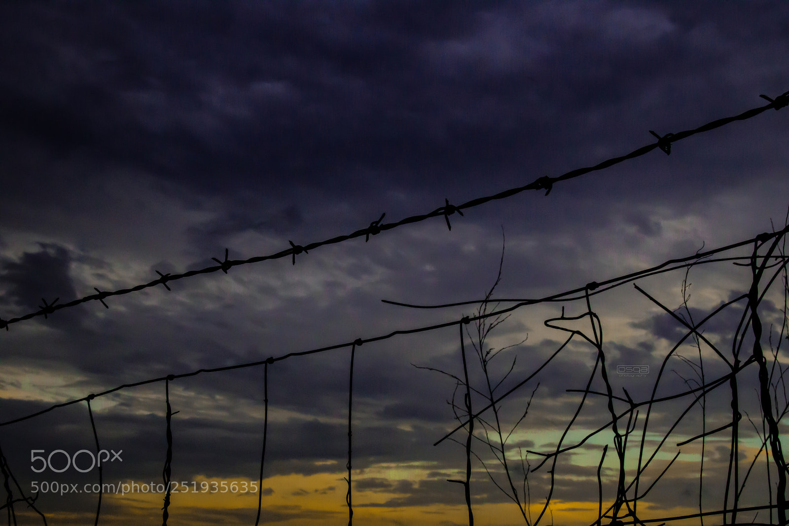 Canon EOS 750D (EOS Rebel T6i / EOS Kiss X8i) sample photo. Fence line photography