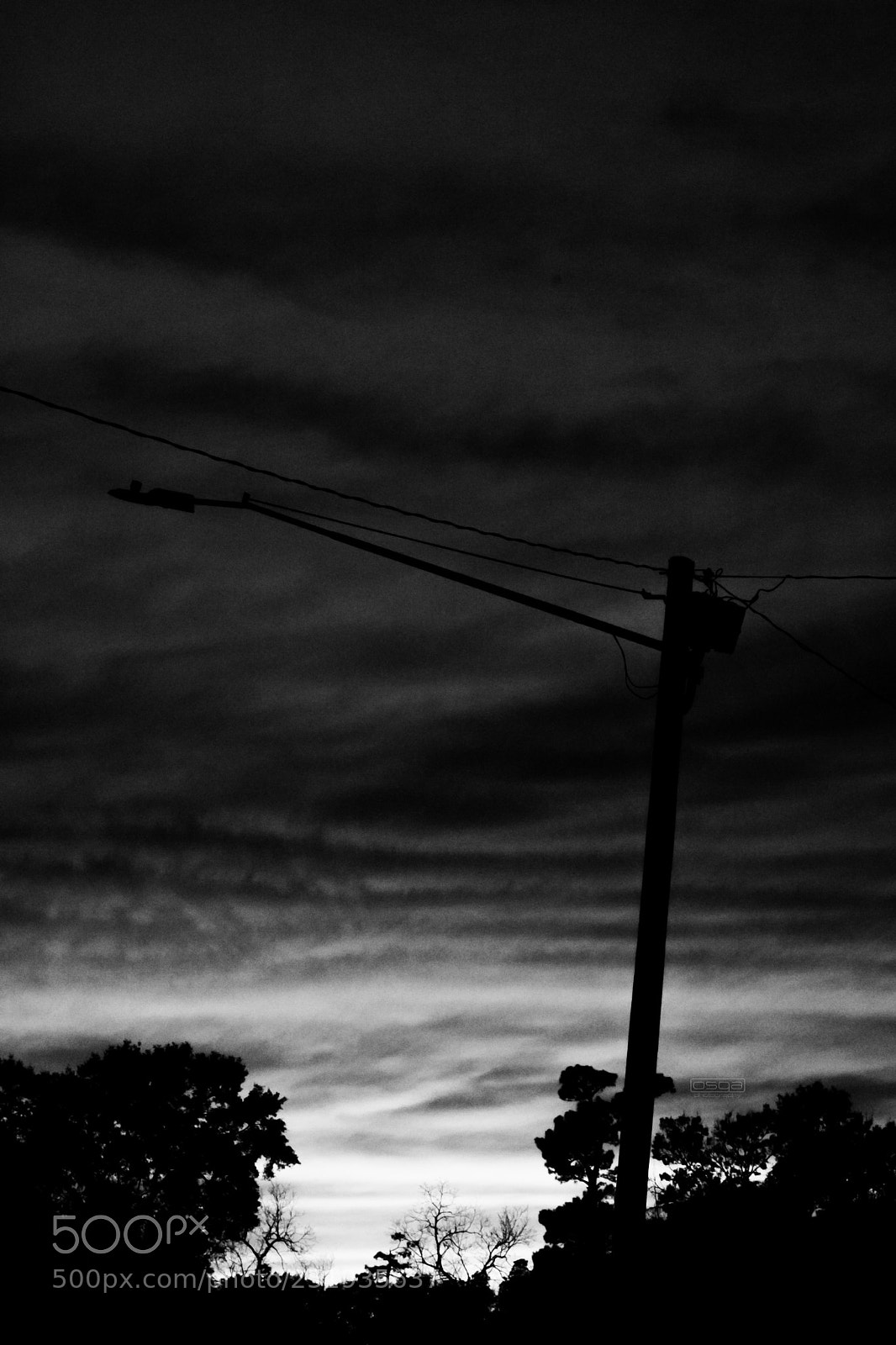 Canon EOS 750D (EOS Rebel T6i / EOS Kiss X8i) sample photo. Light pole photography