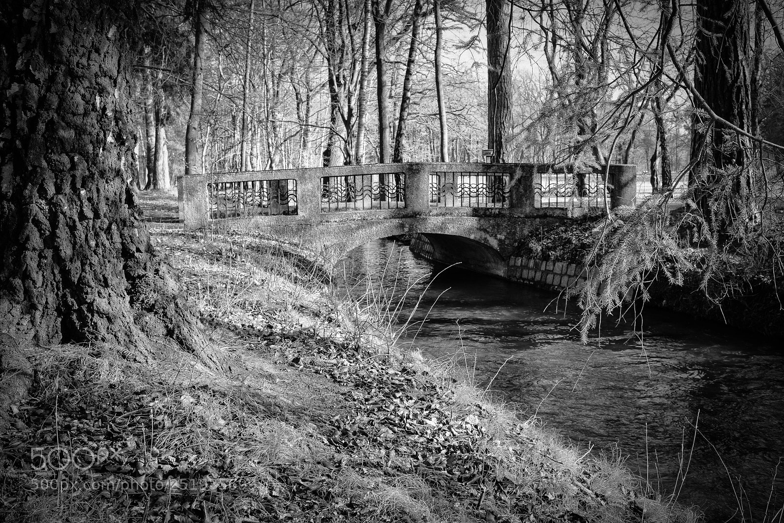 Sony a7R sample photo. The bridge photography