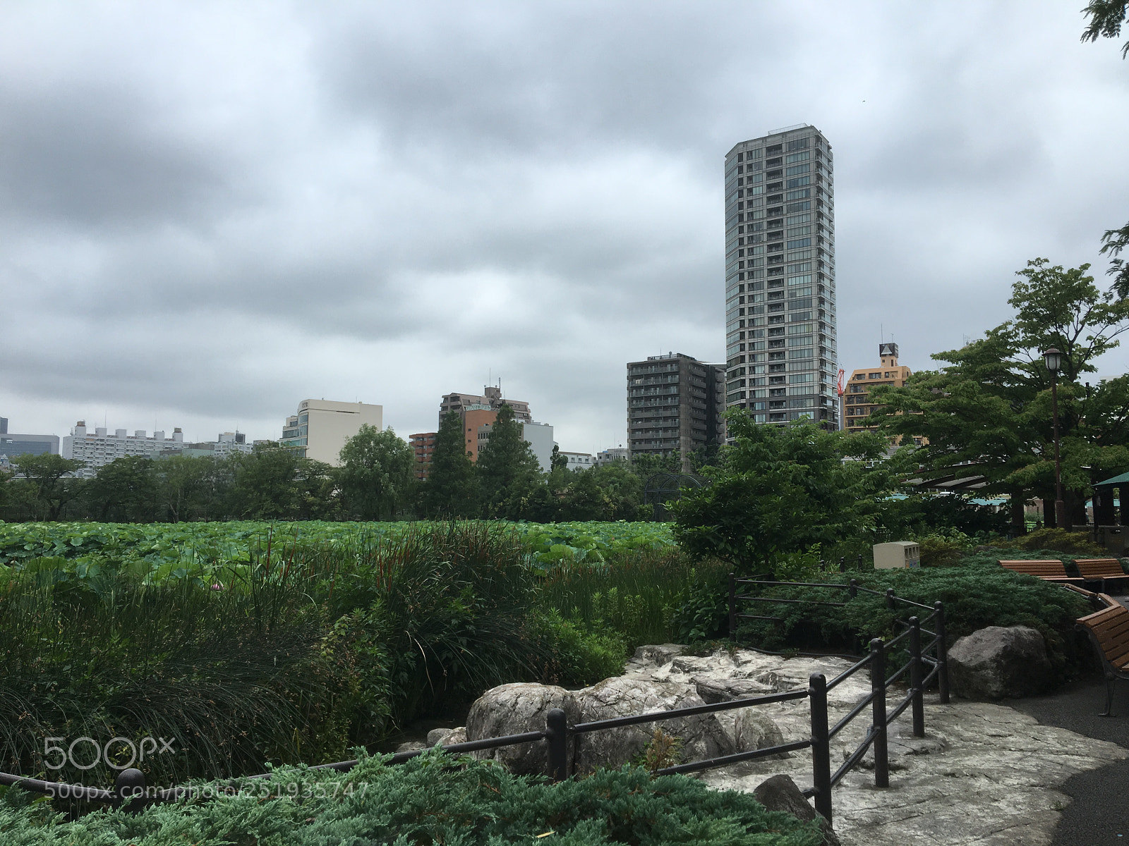 Apple iPhone 6s sample photo. View from ueno zoo photography