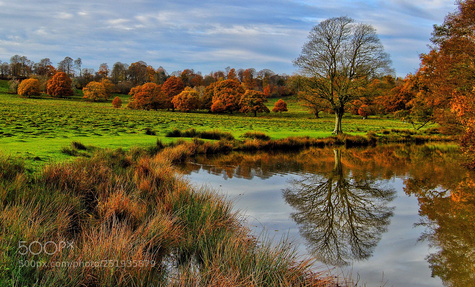 Nikon D3200 sample photo. Reflecting on autumn  photography