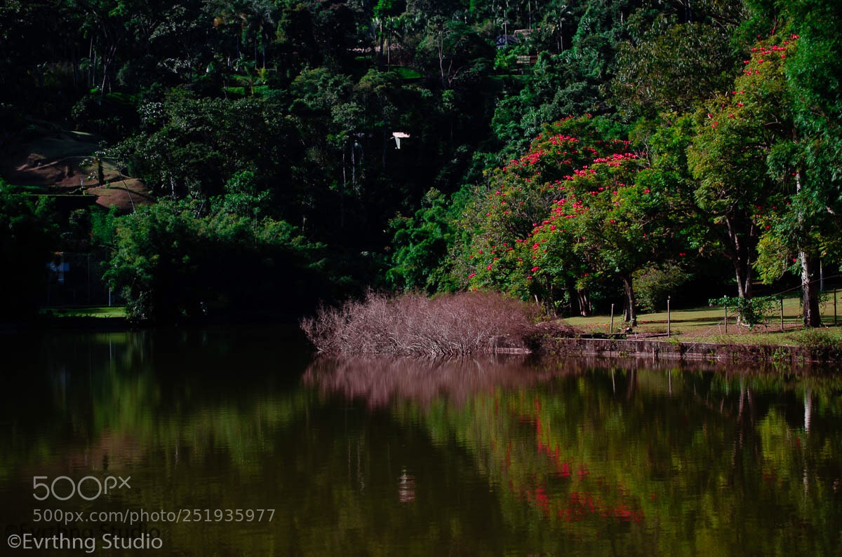 Nikon D5100 sample photo. A linda paisagem photography
