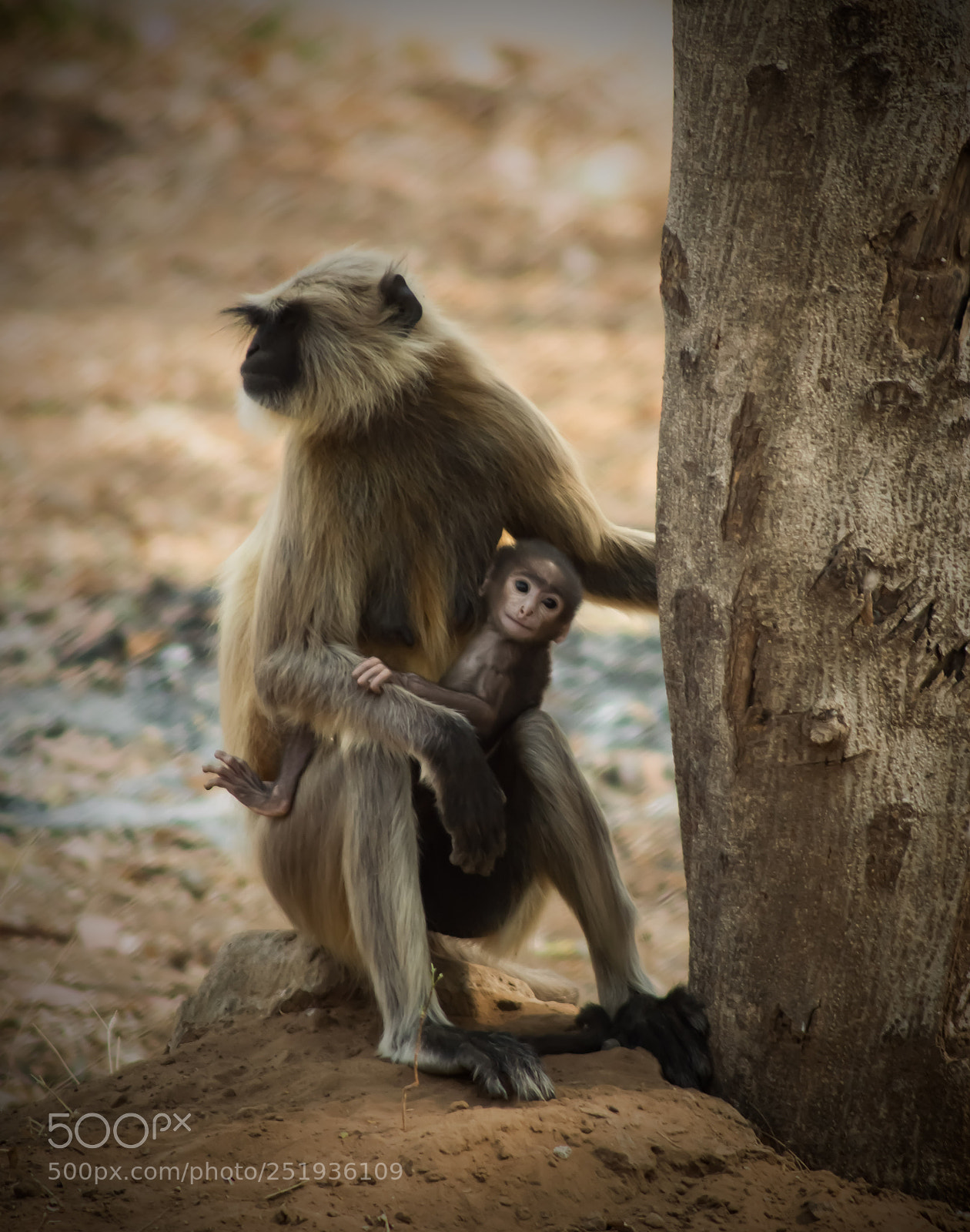 Nikon D3200 sample photo. Cuteness photography