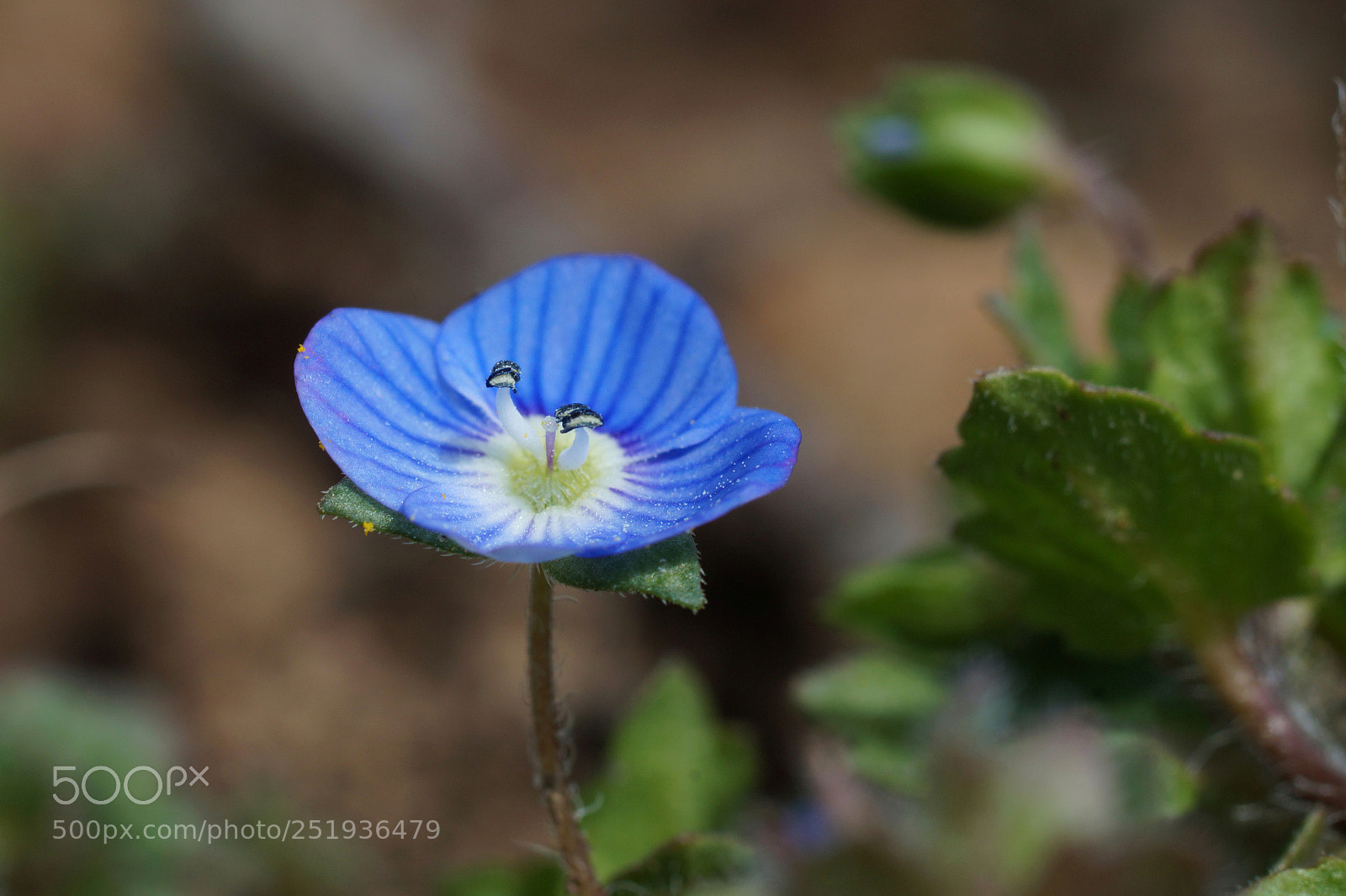 Sony SLT-A58 sample photo. Una y dos photography