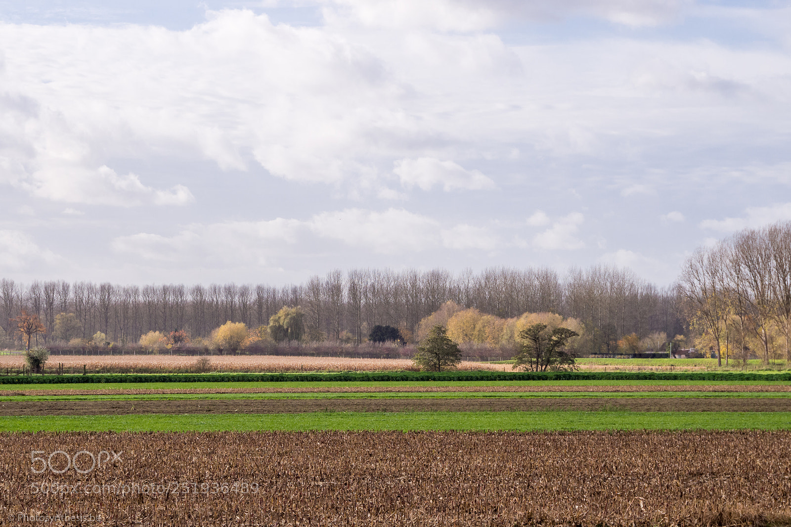 Olympus OM-D E-M10 sample photo. November light i photography