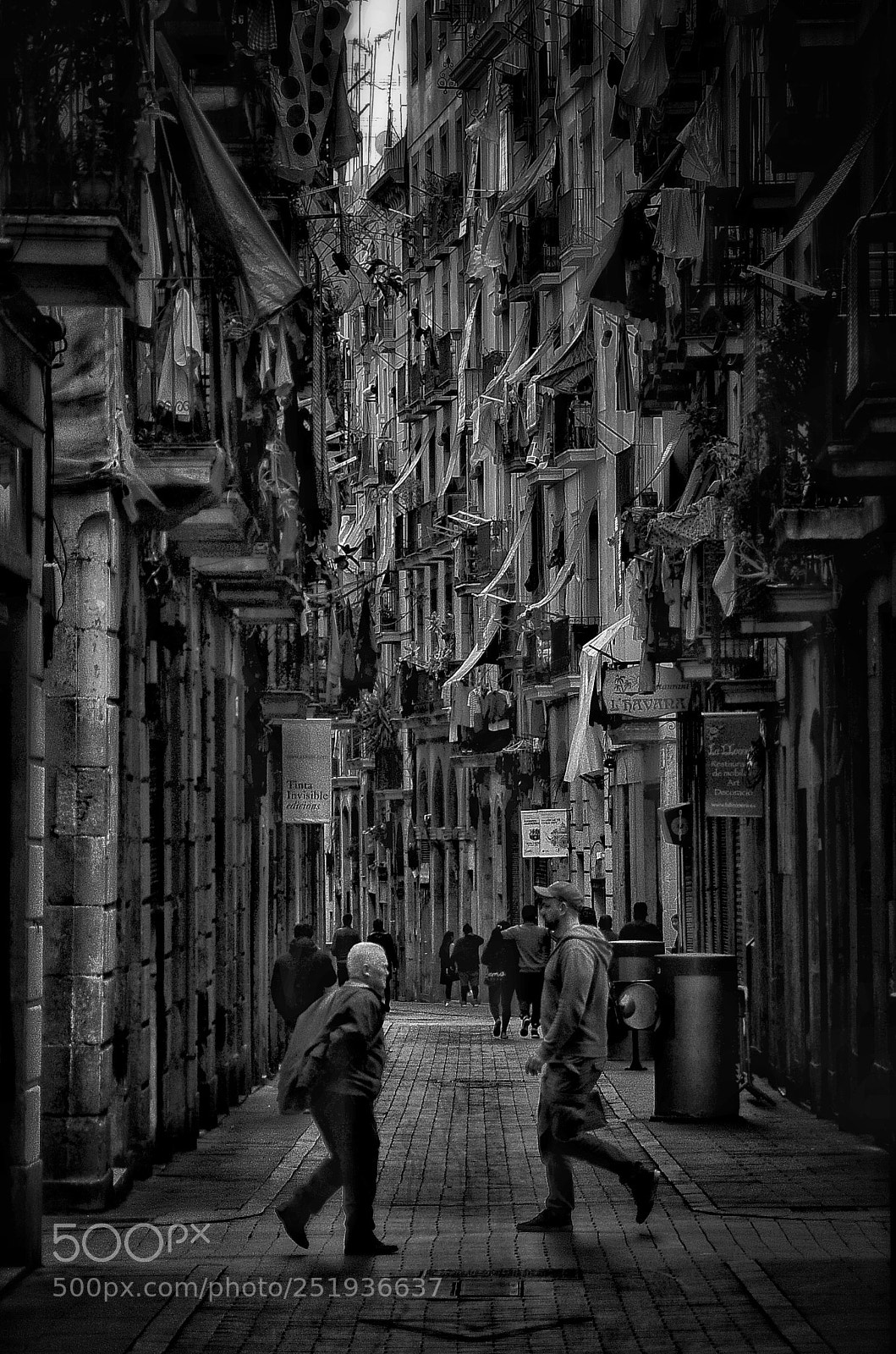 Nikon D300S sample photo. Untitled photography