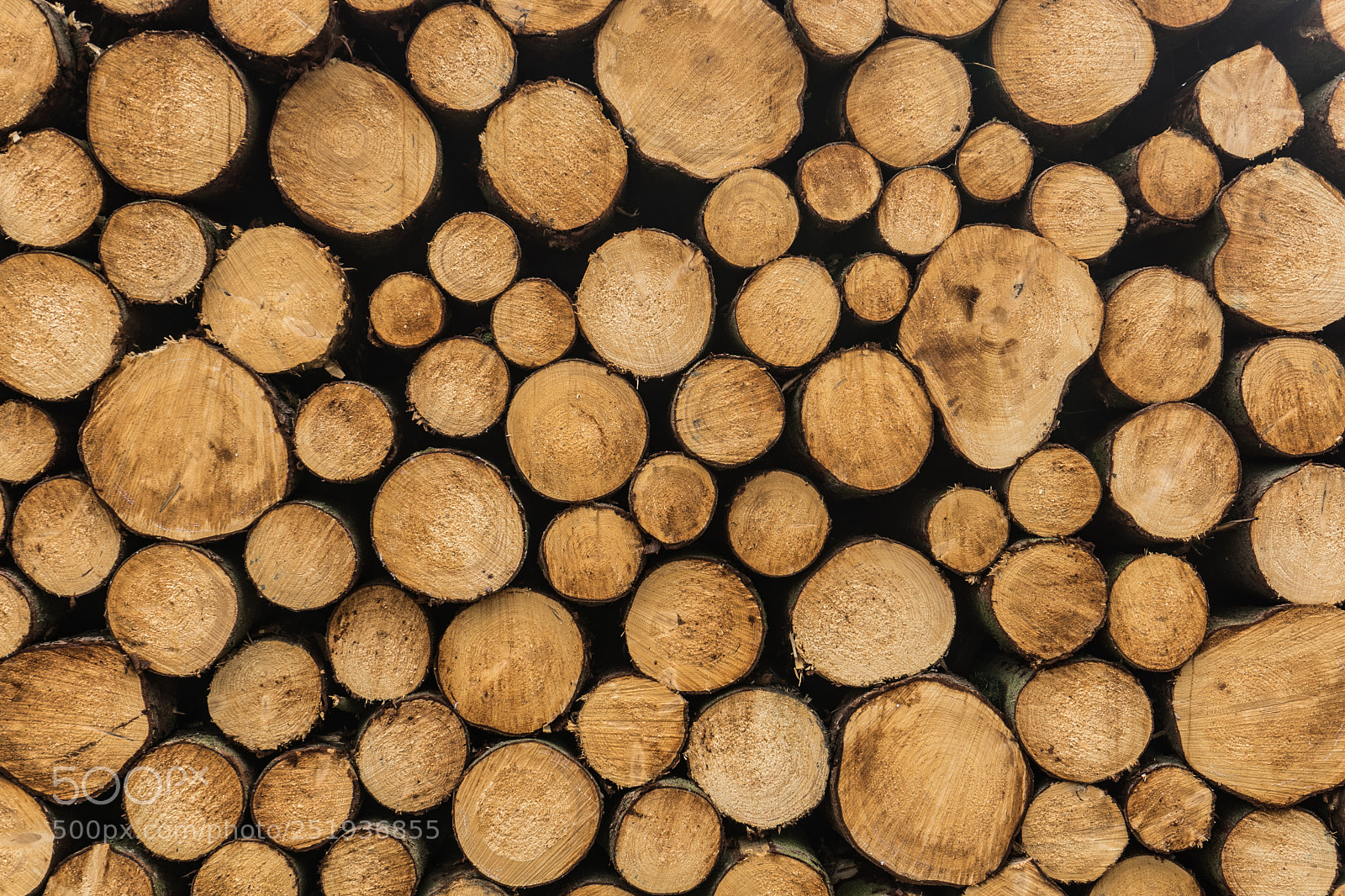 Sony a7 sample photo. Wood background 2 photography