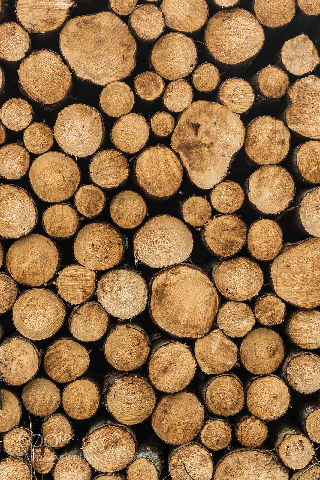Sony a7 sample photo. Wood background 1 photography