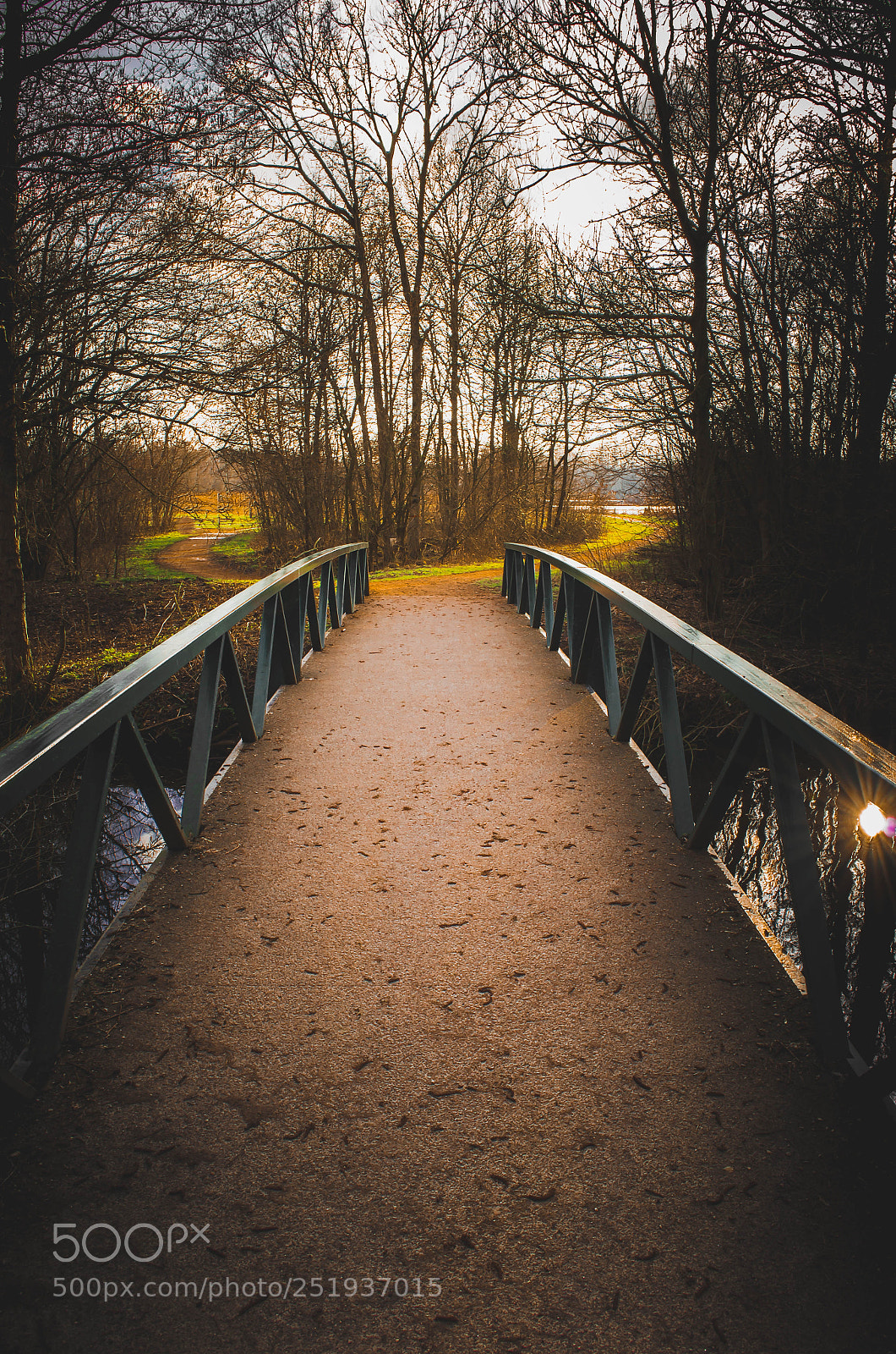 Nikon D5100 sample photo. De bridge photography