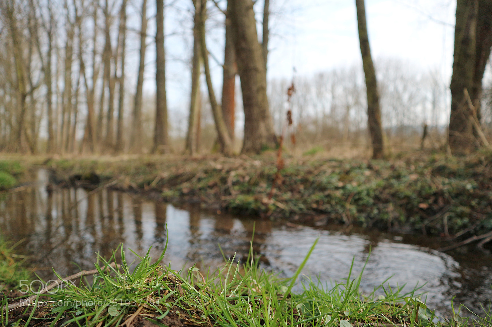 Canon EOS M10 sample photo. A few dew drops photography