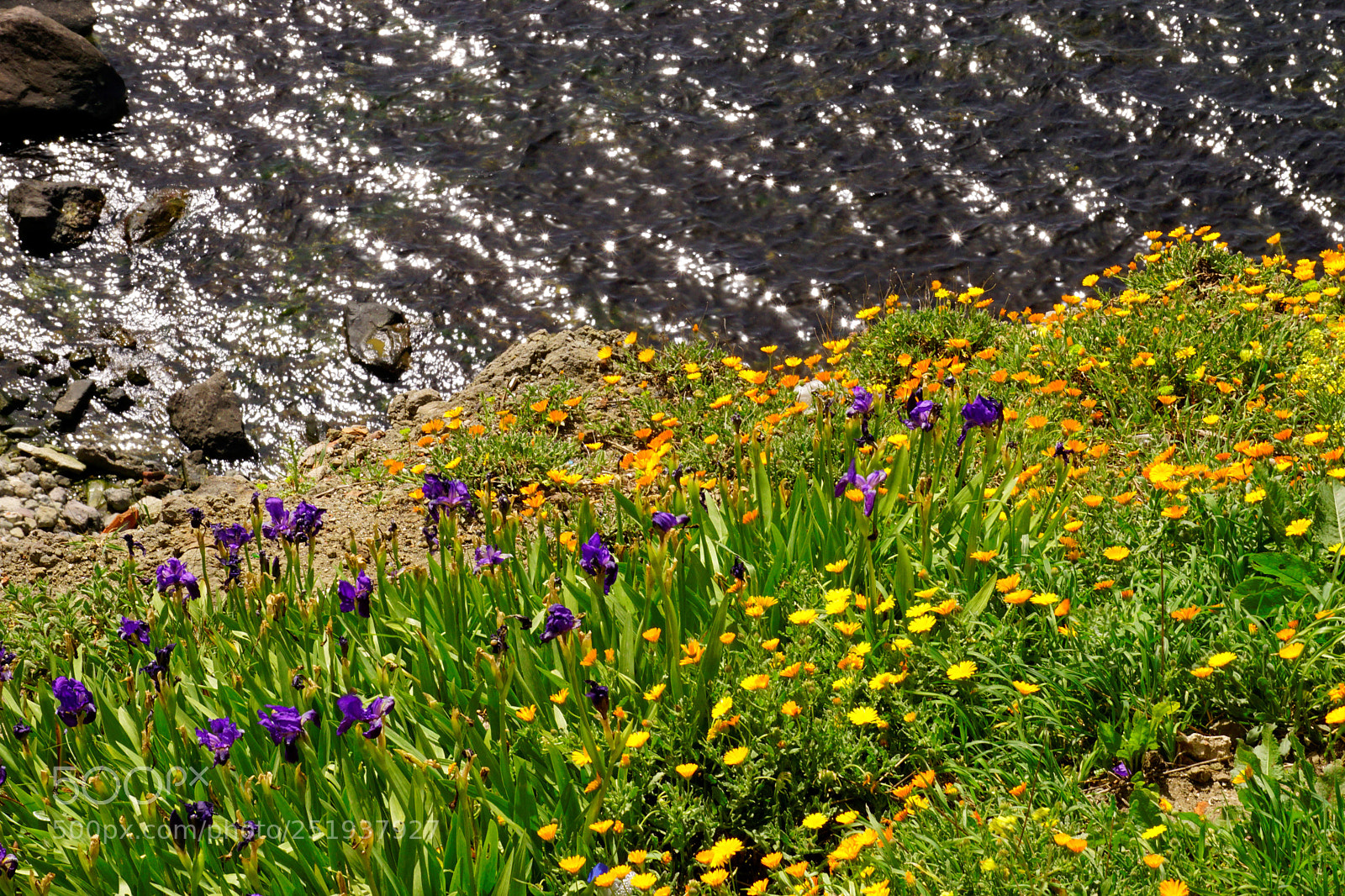 Sony a6000 sample photo. Springtime one the hills photography