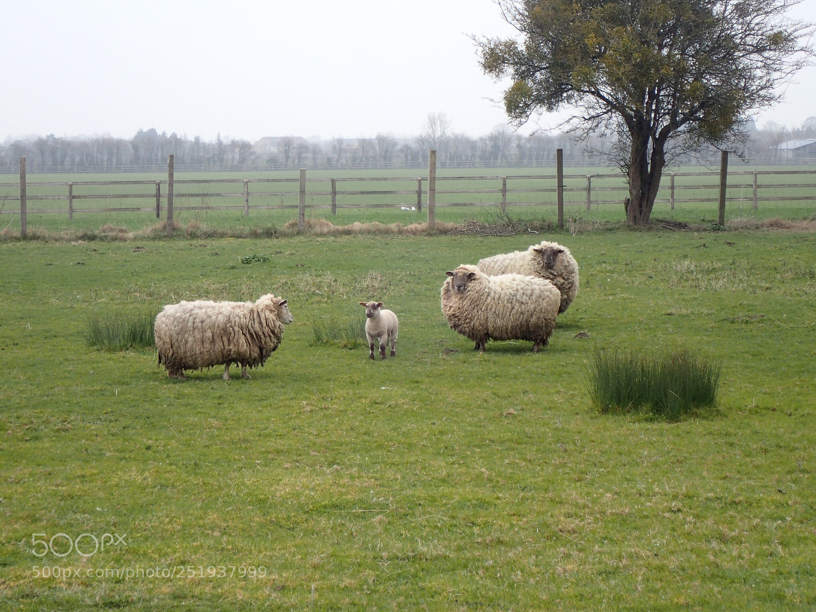 Olympus TG-4 sample photo. Untitled photography