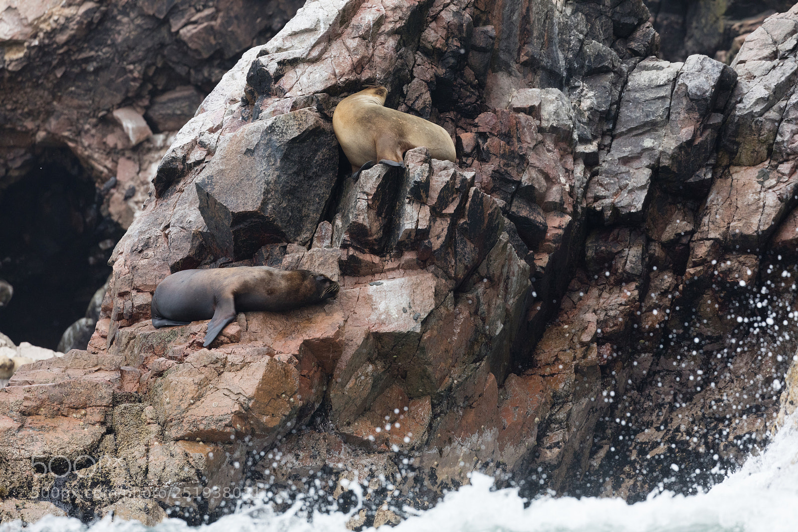 Canon EOS 5DS R sample photo. Ballestas islands, perù photography