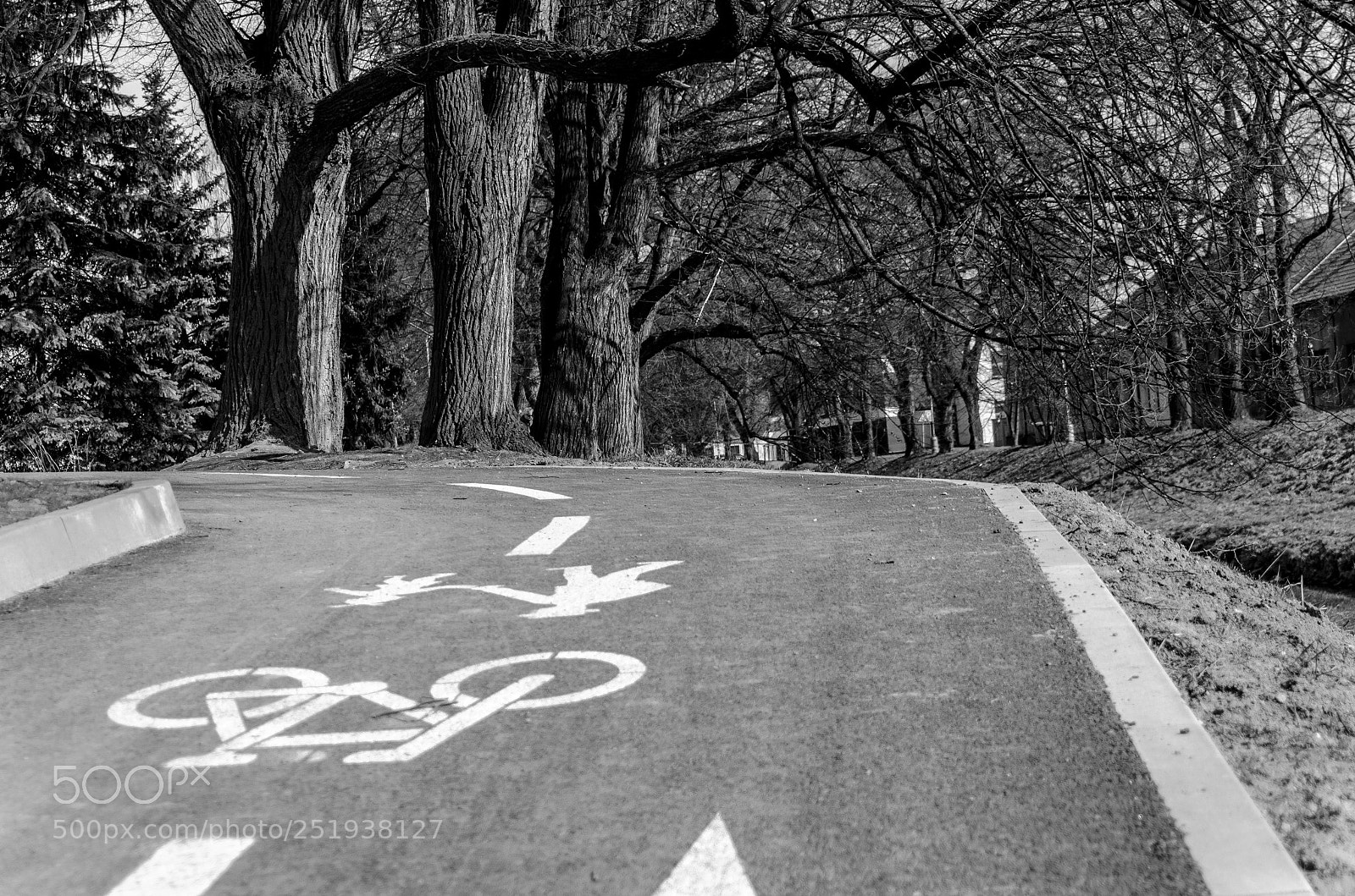 Nikon D7000 sample photo. This way photography
