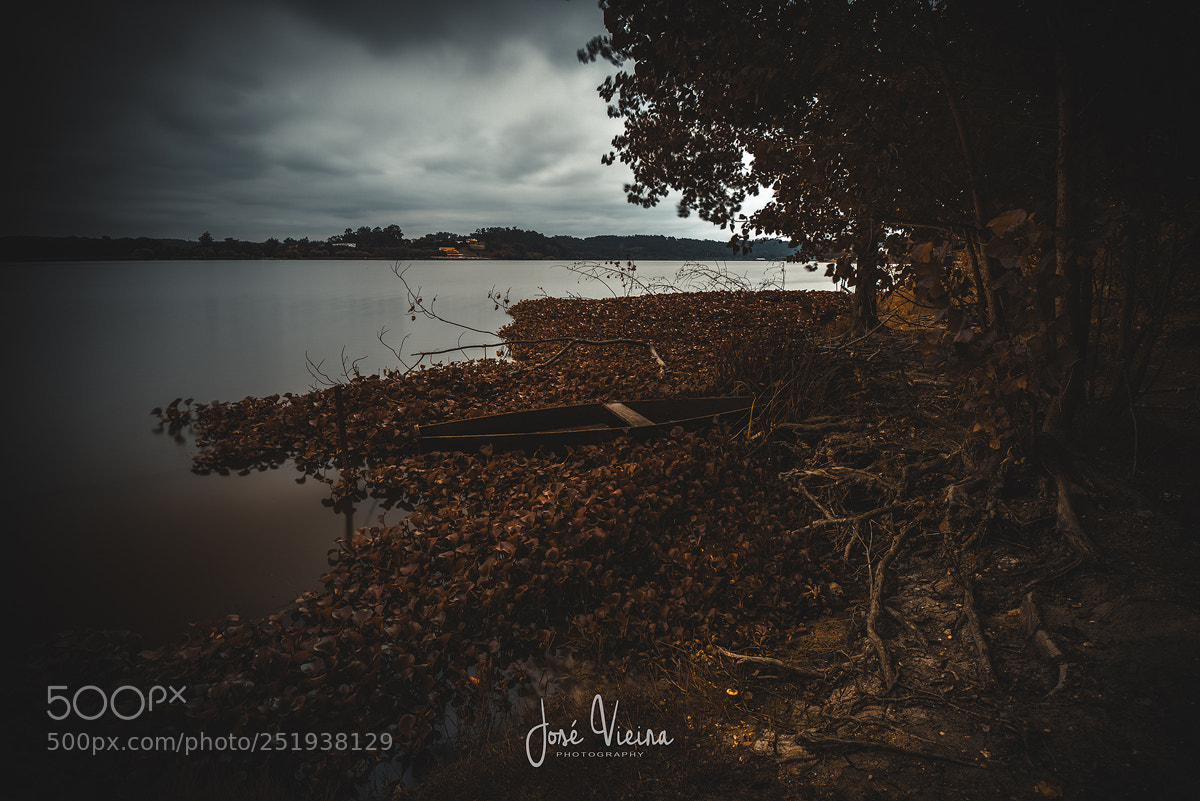 Nikon D600 sample photo. Pateira photography