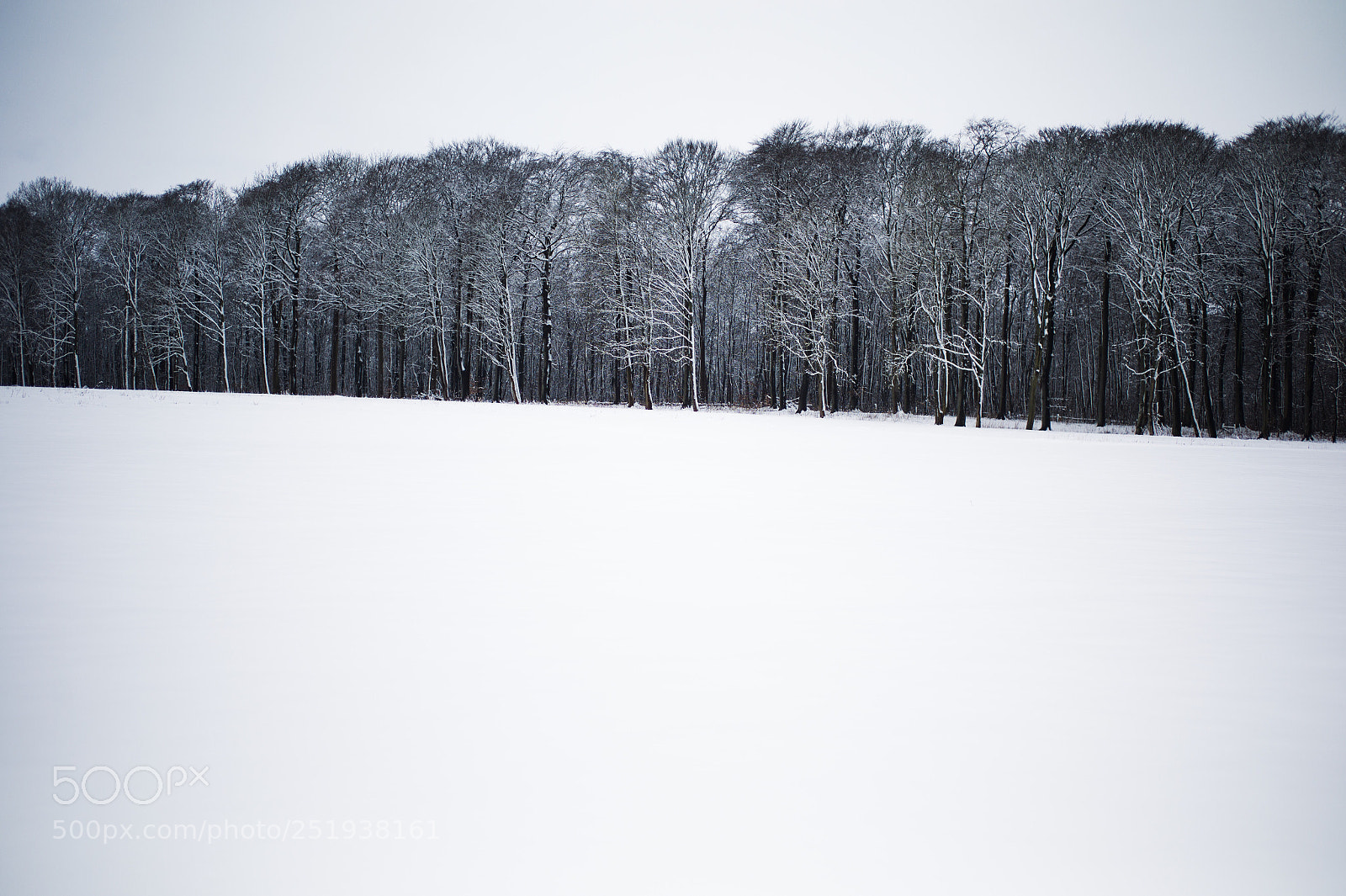 Leica M9 sample photo. Untitled photography