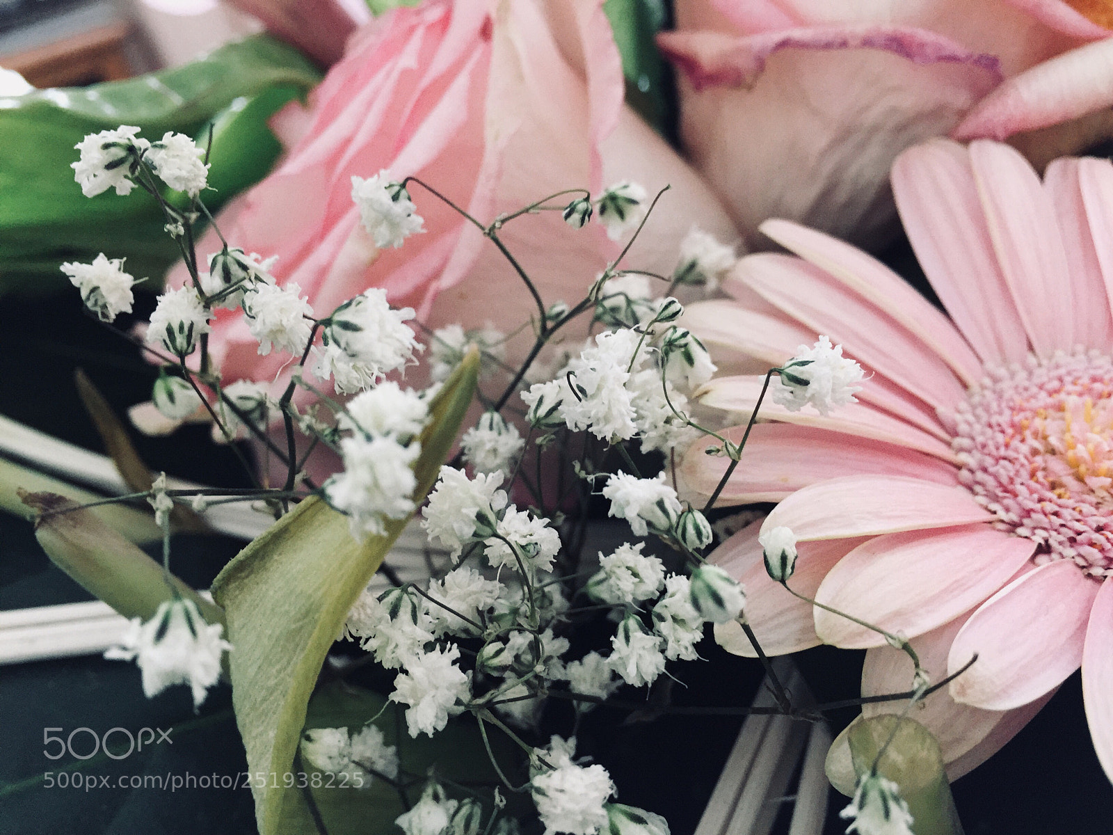 Apple iPhone 6 sample photo. Untitled photography