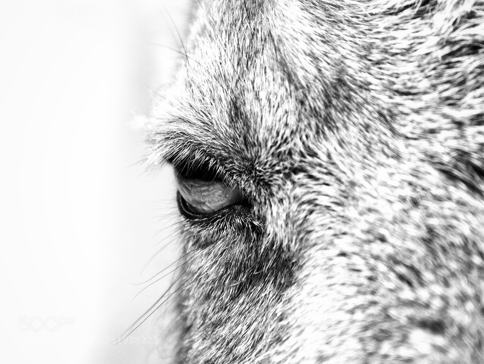 Canon EOS 60D sample photo. Untitled photography