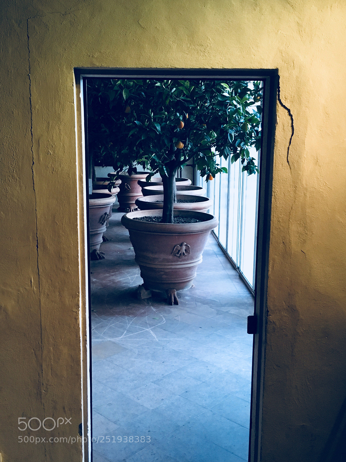 Apple iPhone SE sample photo. Indoor farming photography