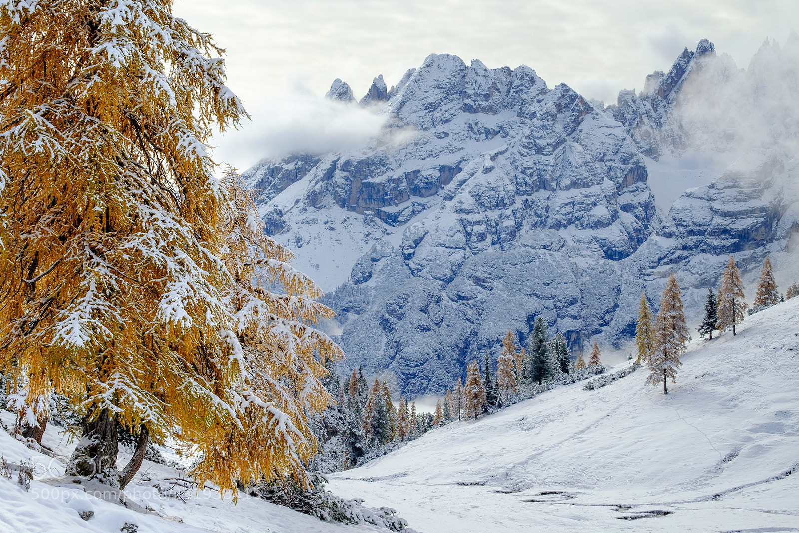 Fujifilm X-T1 sample photo. Early winter in the photography