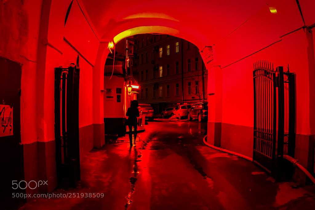Fujifilm X-T2 sample photo. Red photography