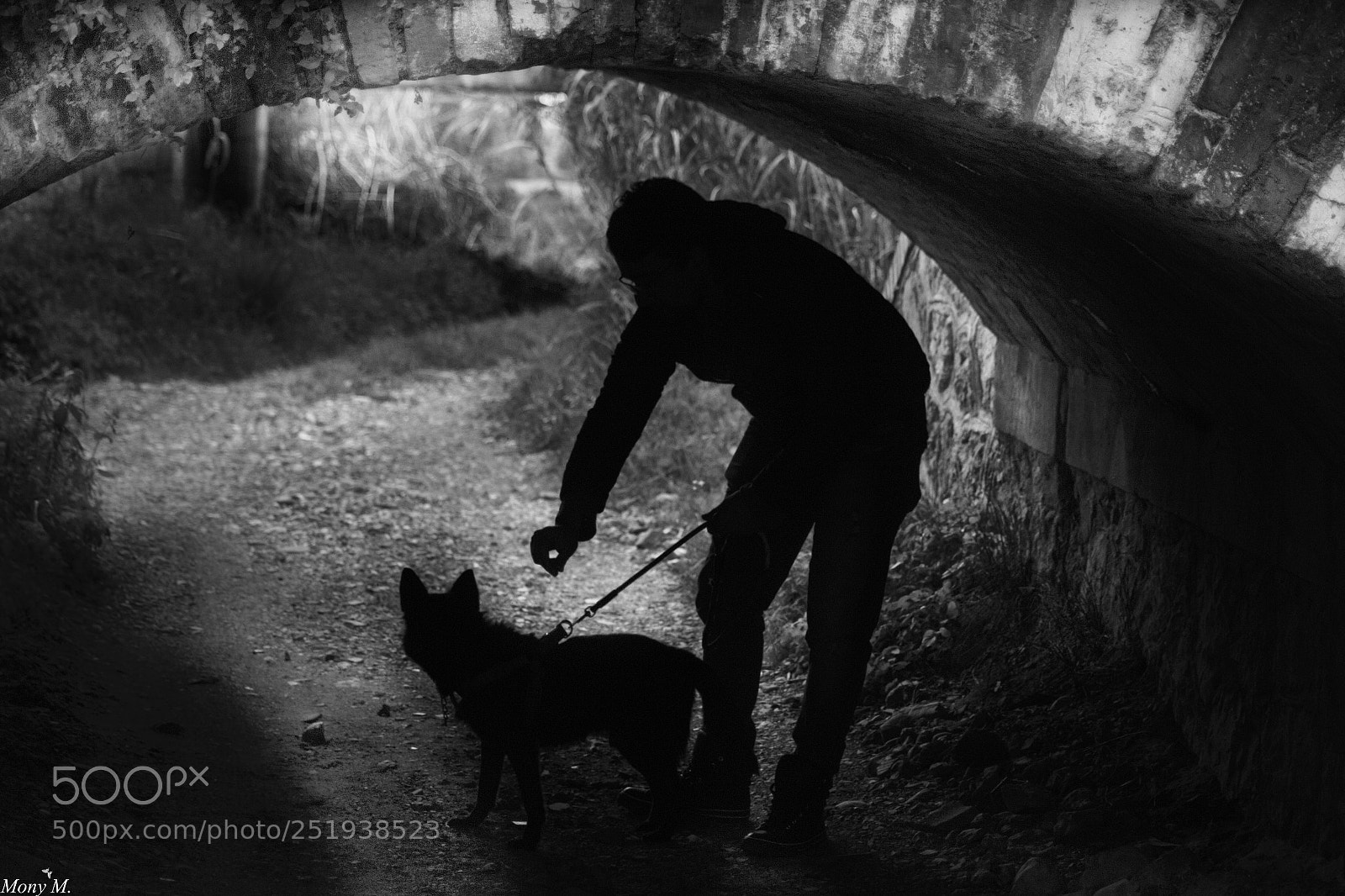 Canon EOS 70D sample photo. Dog vs man photography