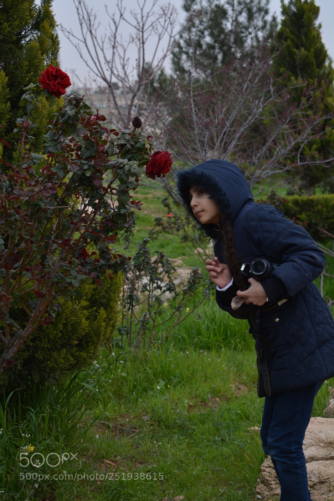 Nikon D5200 sample photo. Areen photography