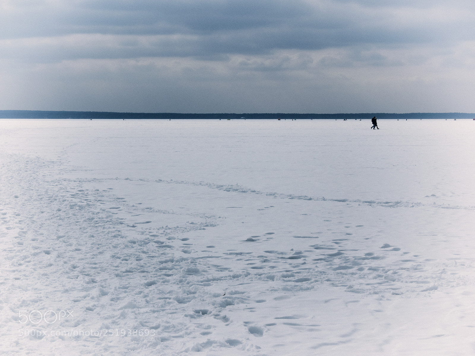 Olympus OM-D E-M1 sample photo. You cross my path photography