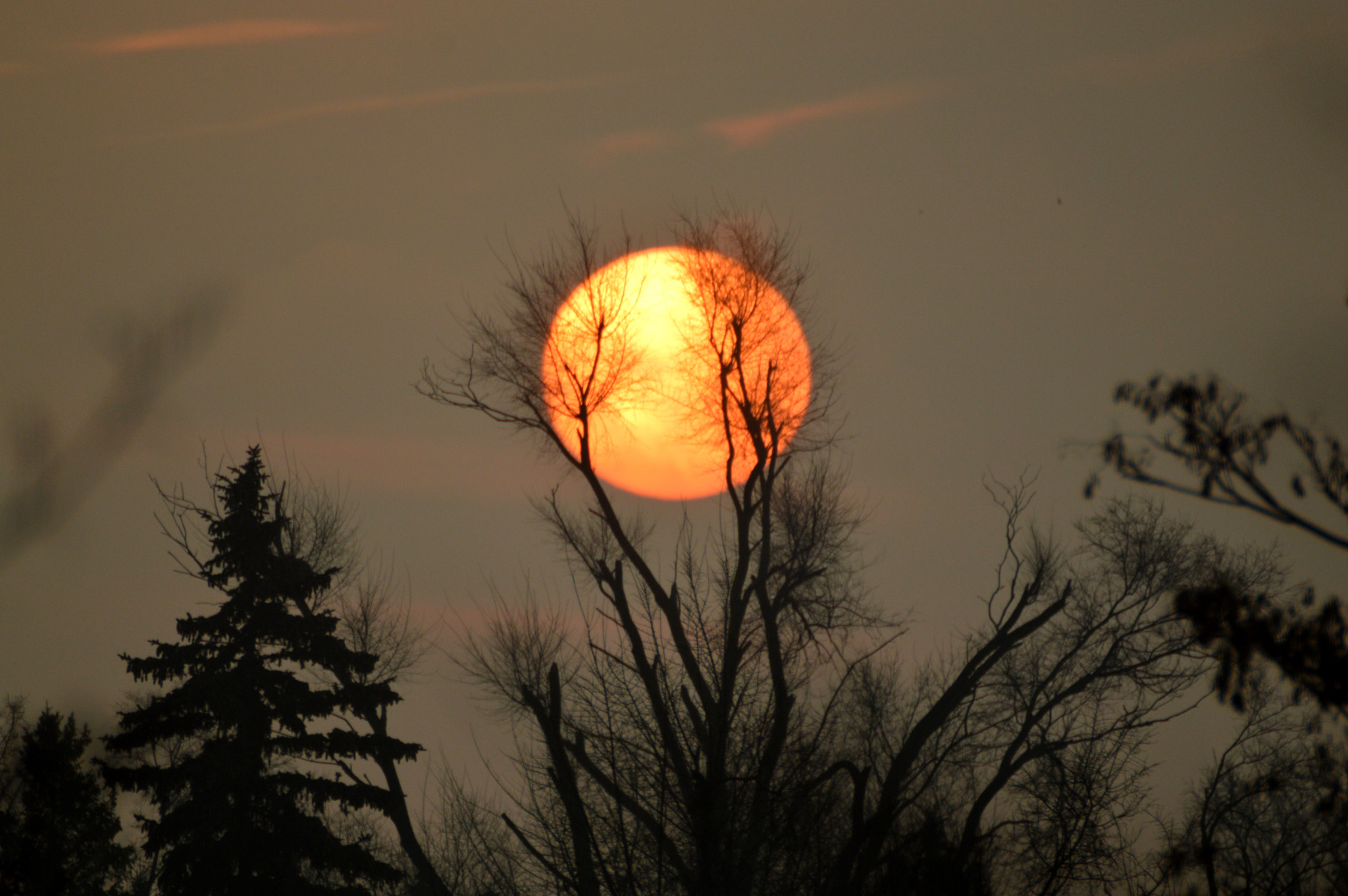 Nikon D3200 + Sigma APO 170-500mm F5-6.3 Aspherical RF sample photo. Red sun. photography