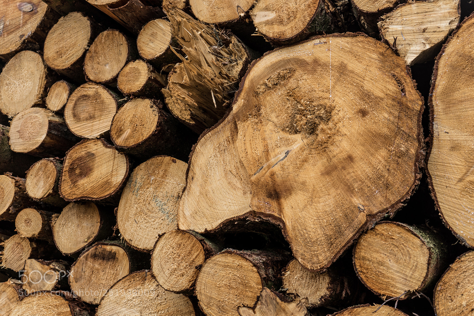 Sony a7 sample photo. Wood background 4 photography