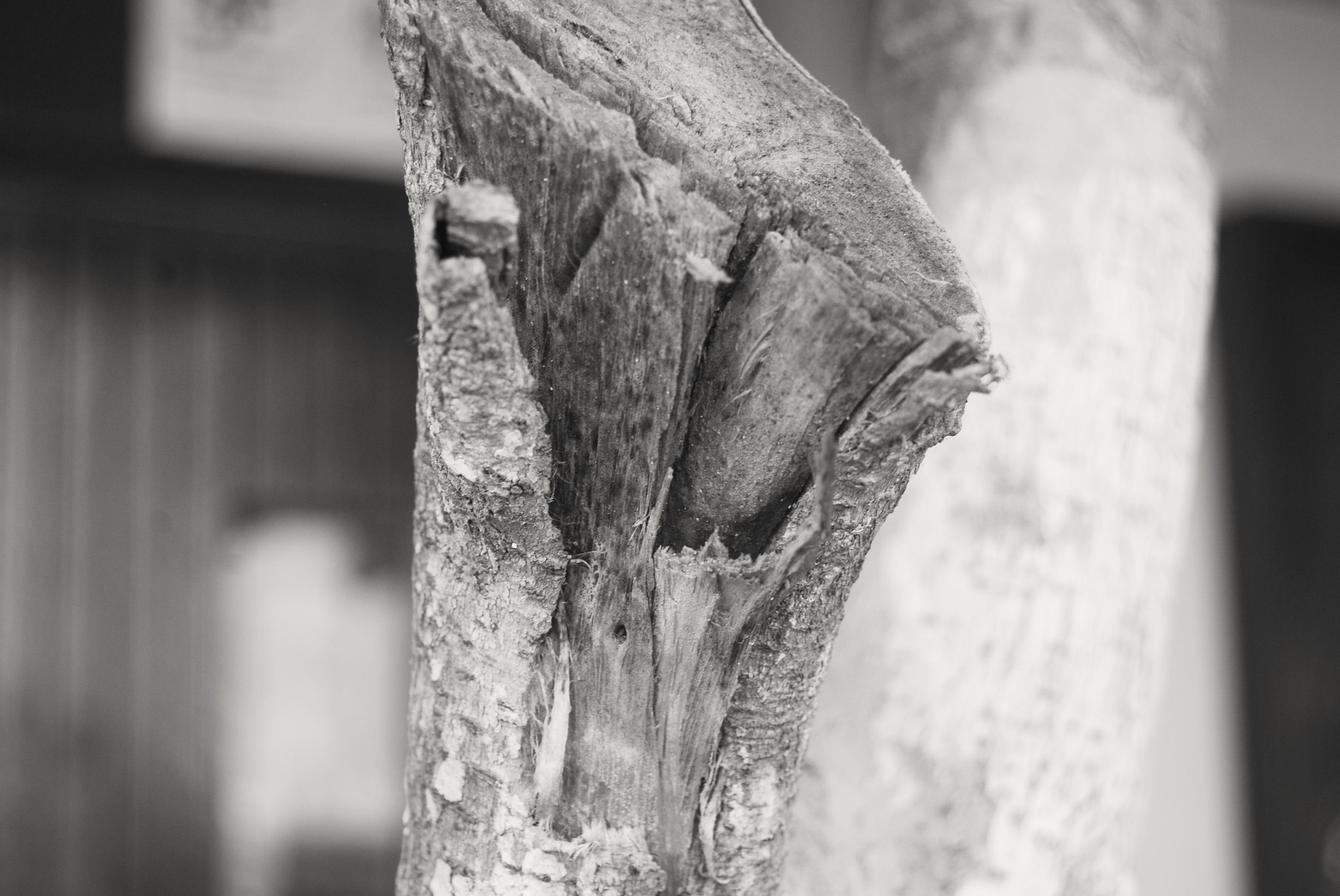 Nikon D40X sample photo. Traces photography