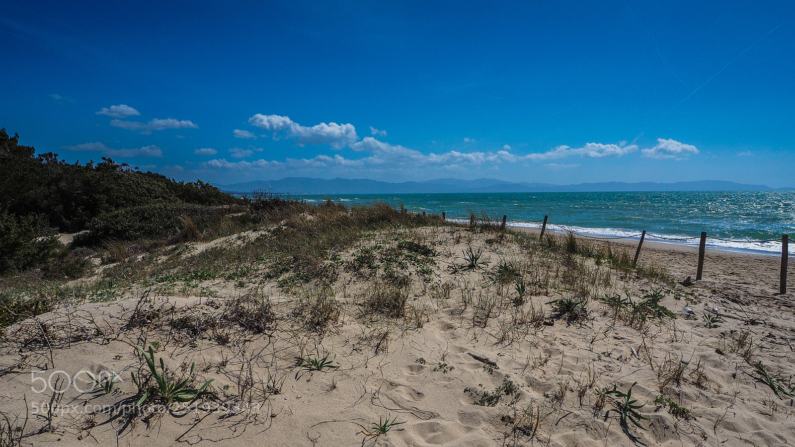 Olympus OM-D E-M10 sample photo. Green sea photography
