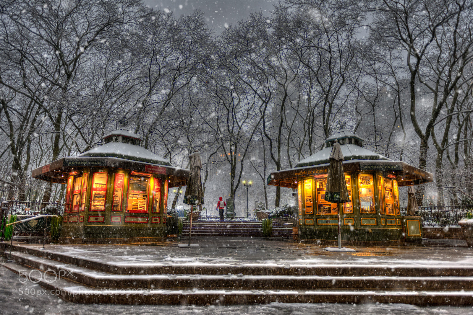 Nikon D810 sample photo. April in manhattan photography