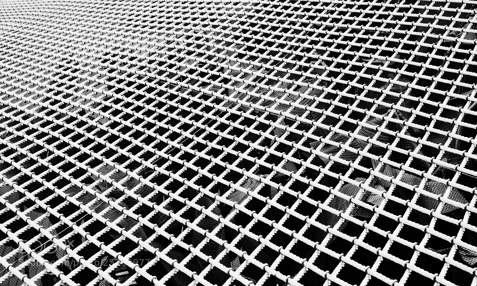 Pentax K-S2 sample photo. Texture grid photography