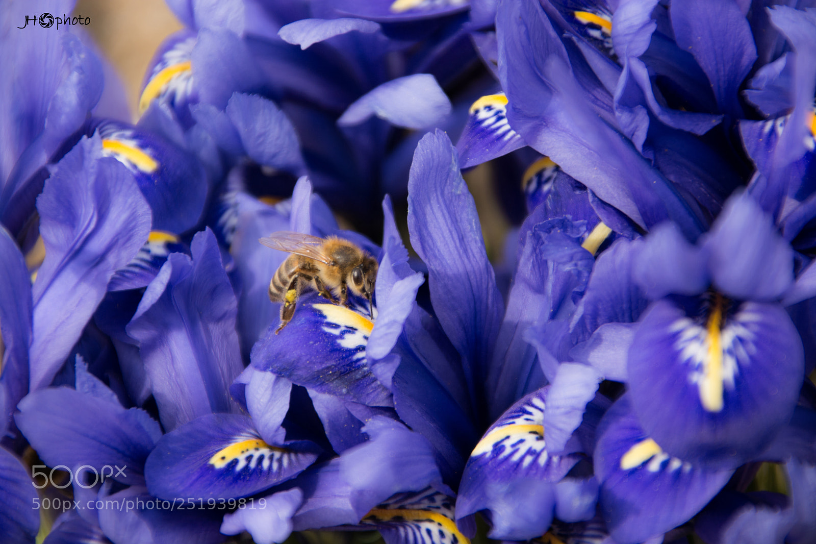 Nikon D5200 sample photo. Where i am? photography