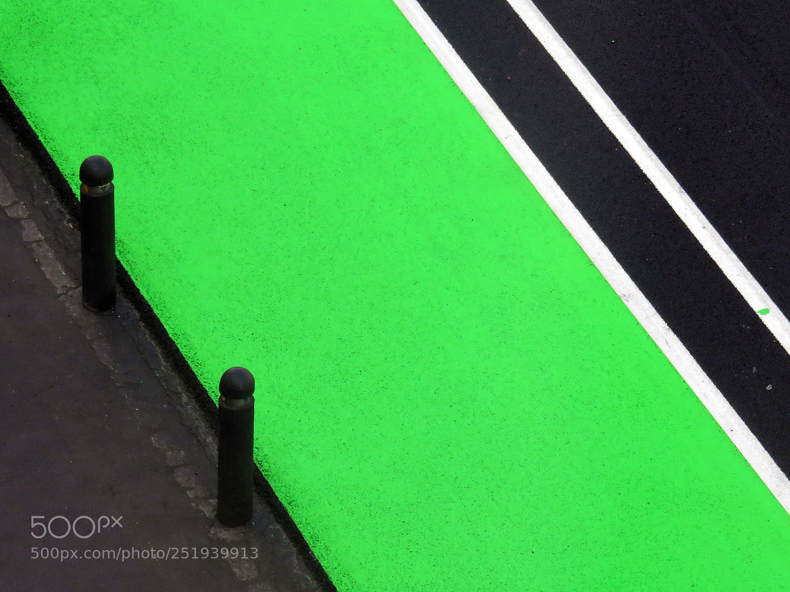 Canon PowerShot SX710 HS sample photo. Green on black verde photography