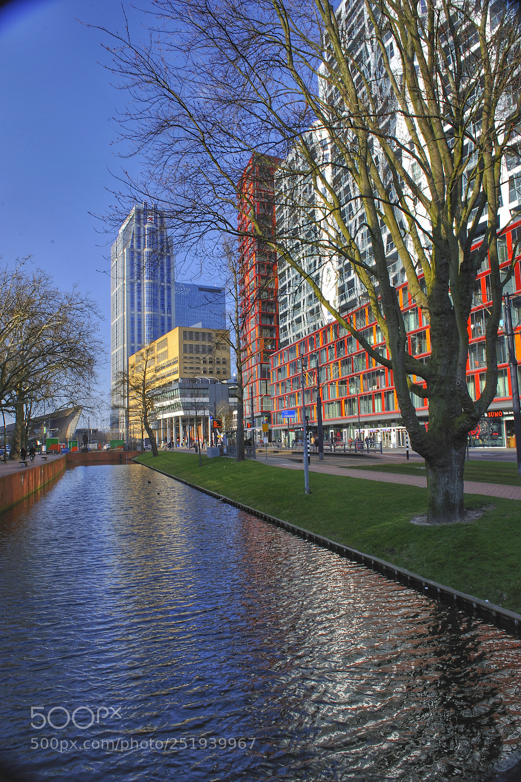 Nikon D700 sample photo. Rotterdam photography