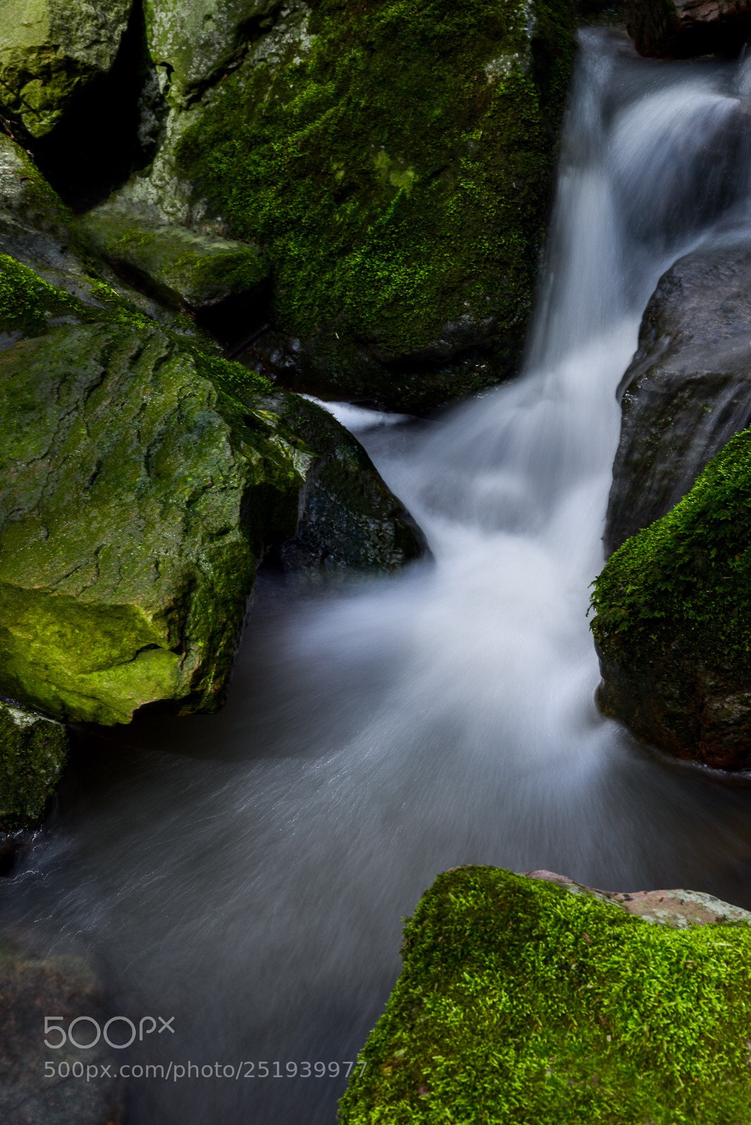 Nikon D800 sample photo. G r e e photography