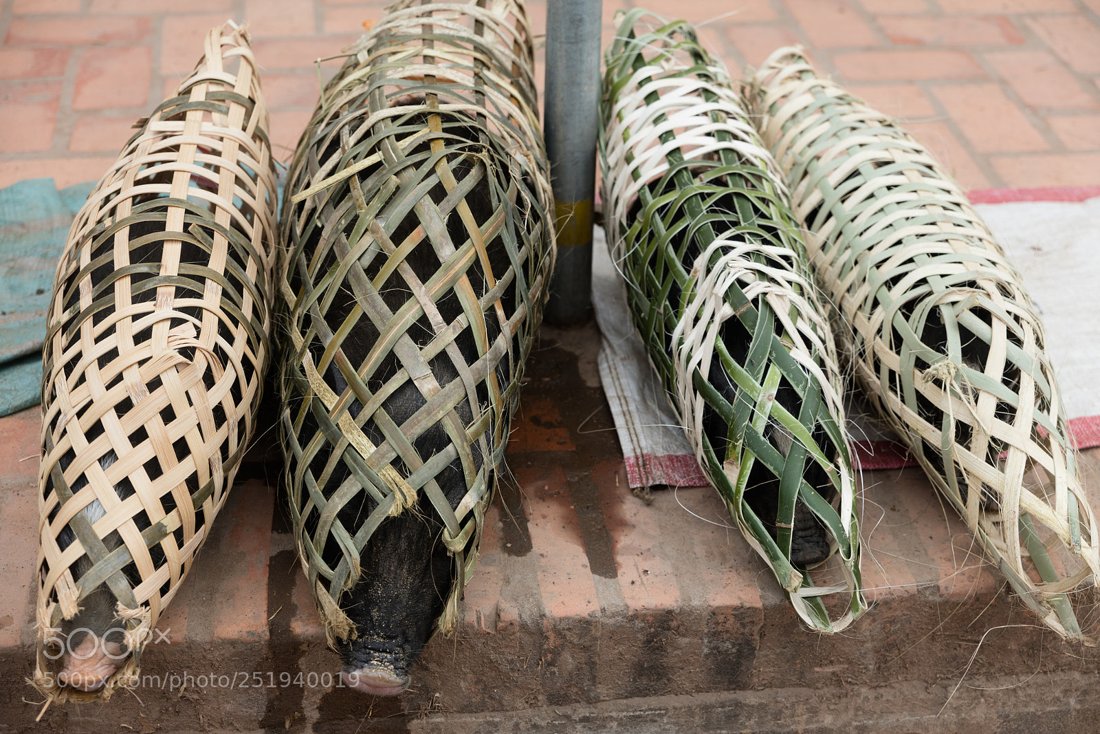Canon EOS 5DS R sample photo. Boars at market photography