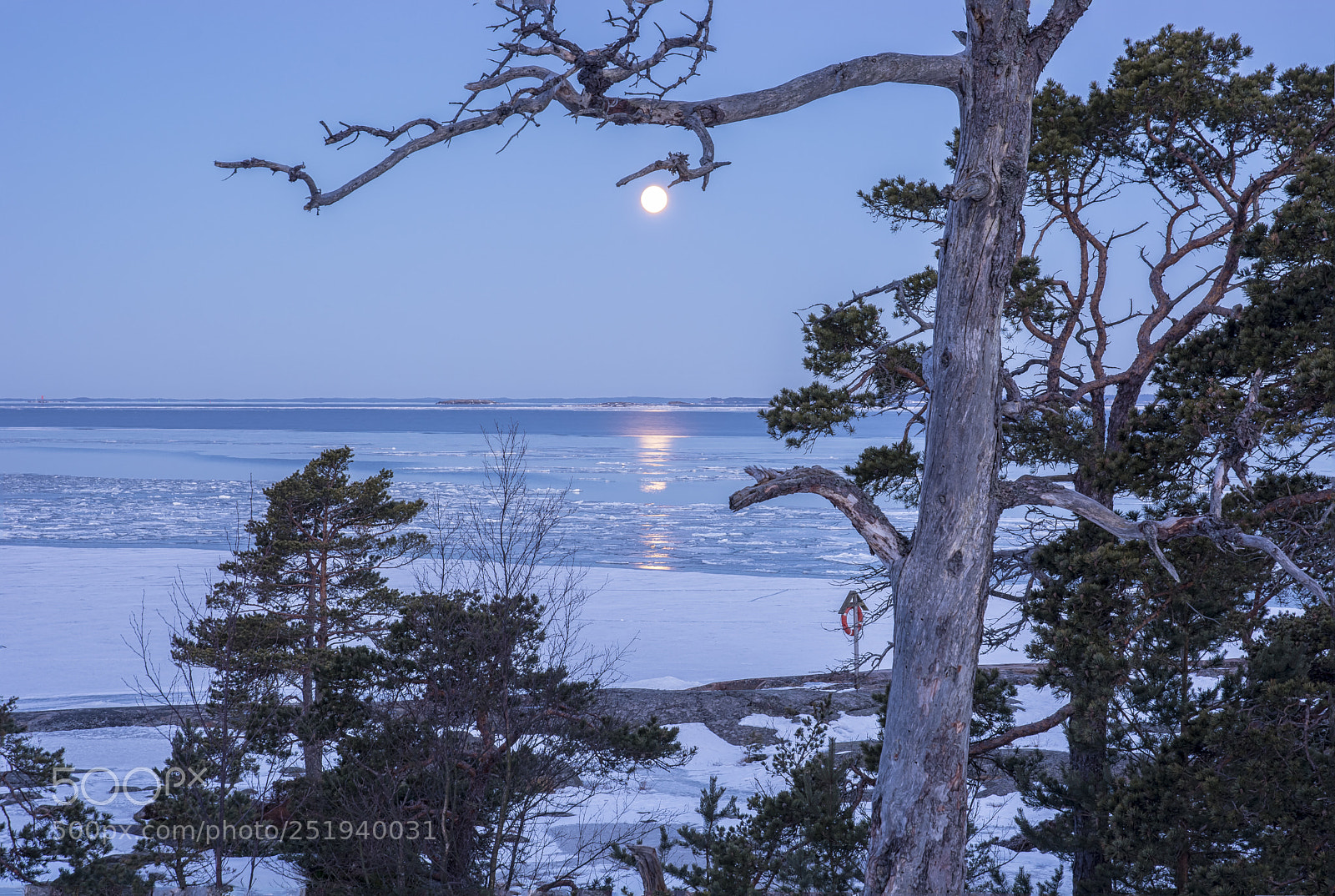 Nikon D5200 sample photo. Moonlight before morning photography