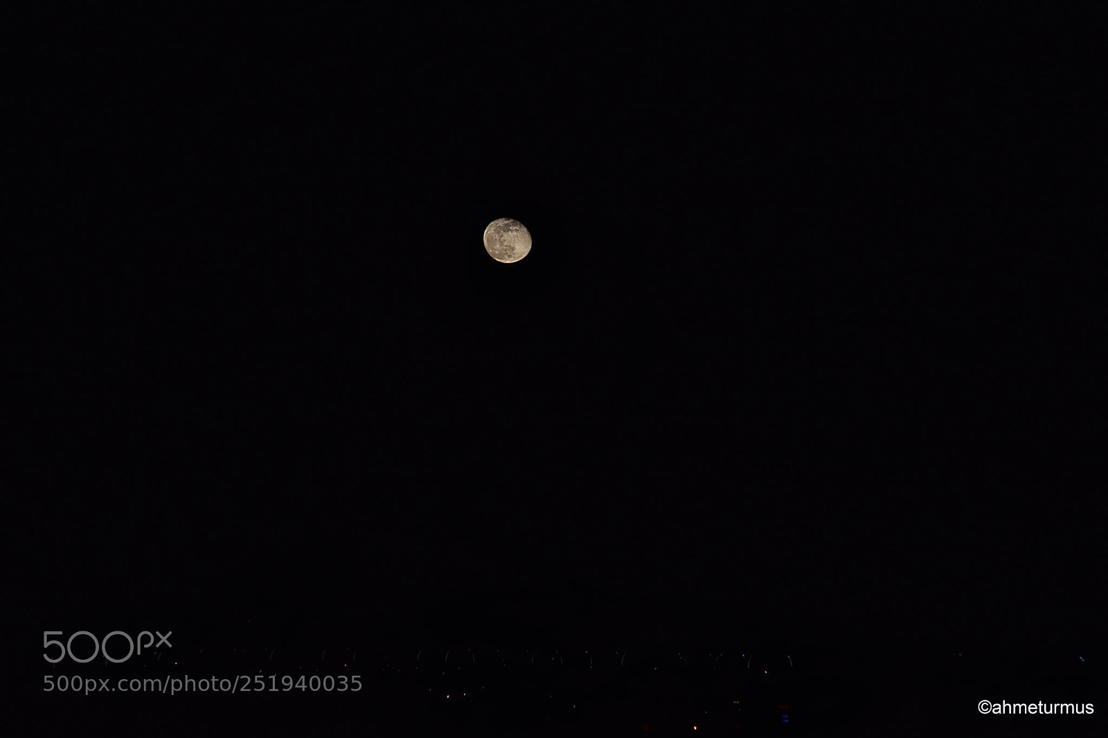 Nikon D5300 sample photo. Untitled photography