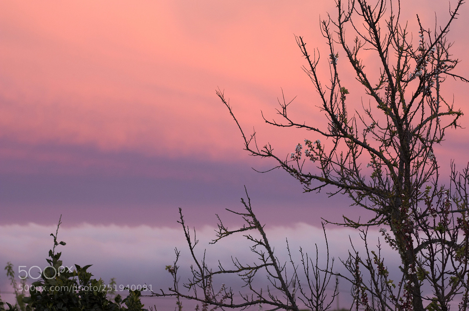 Canon EOS 700D (EOS Rebel T5i / EOS Kiss X7i) sample photo. Atardecer en asofa photography