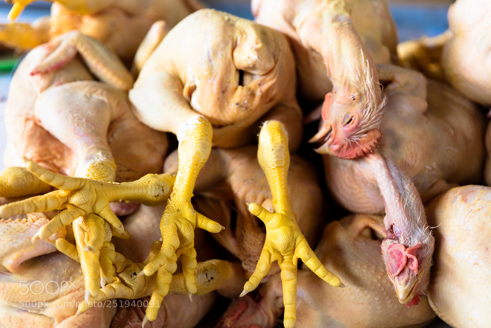 Canon EOS 5DS R sample photo. Chicken exposed in market photography