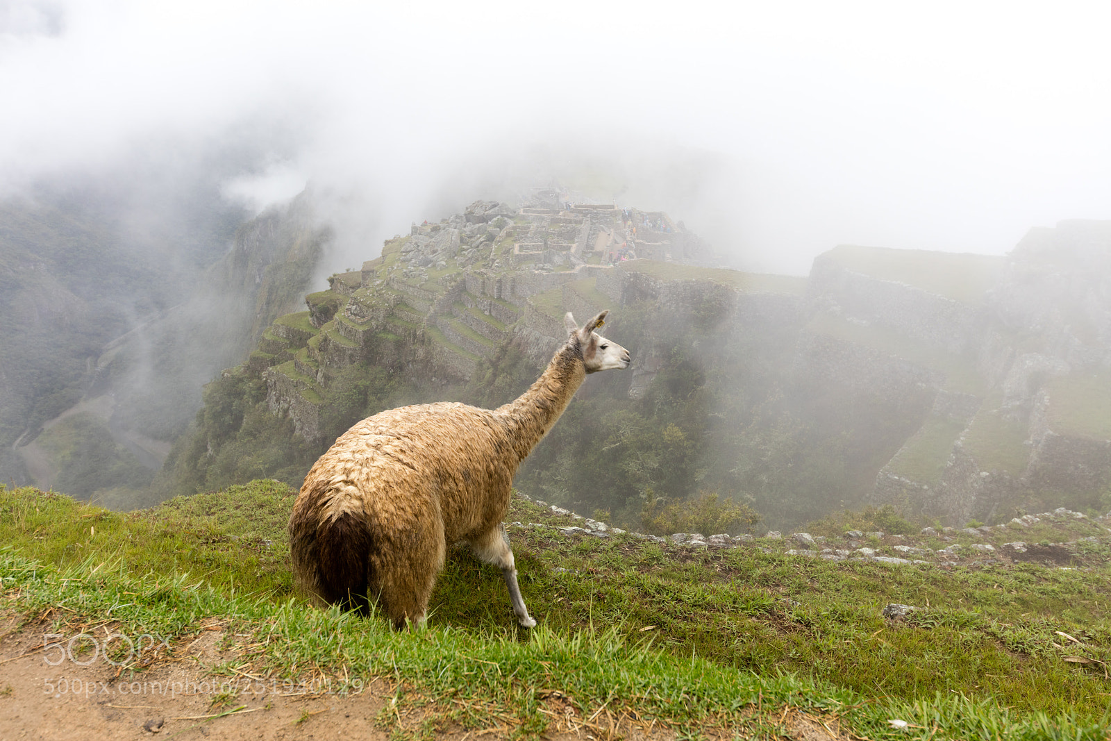Canon EOS 5DS R sample photo. Machu picchu , peru, photography