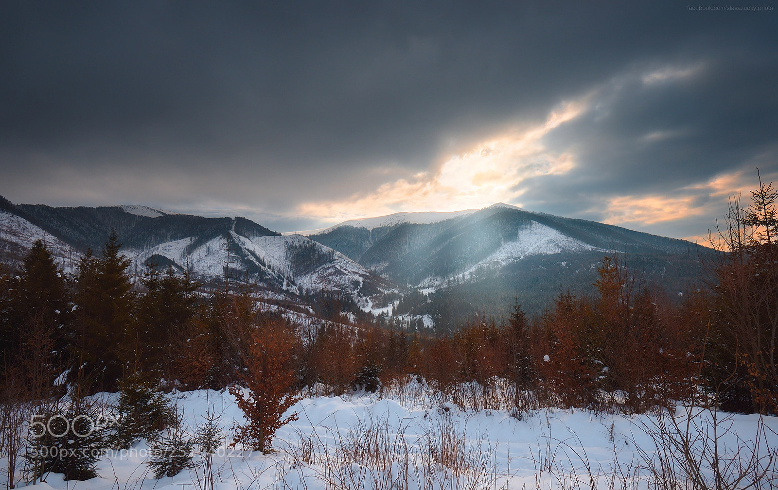 Nikon D610 sample photo. Rays photography