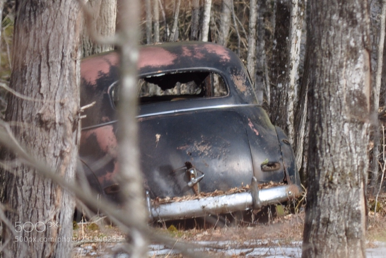 Nikon D5000 sample photo. The mob ? photography