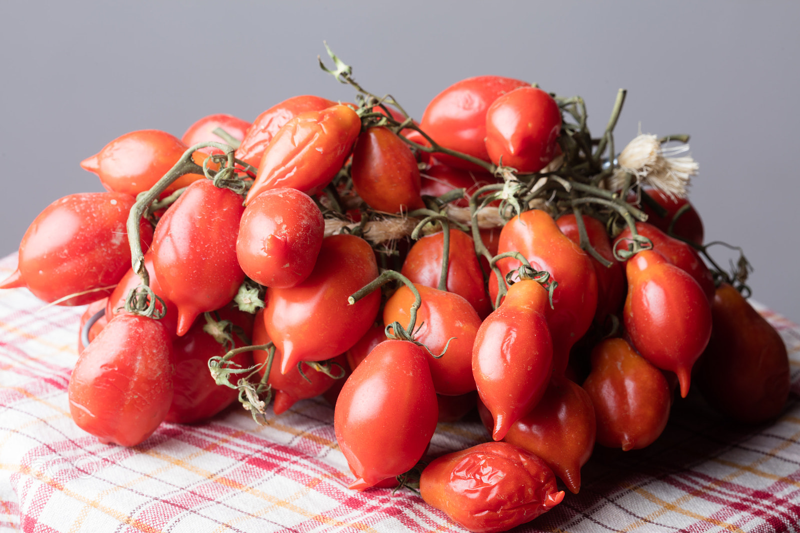 Canon EOS 5DS R sample photo. Tomatoes of vesuvius photography