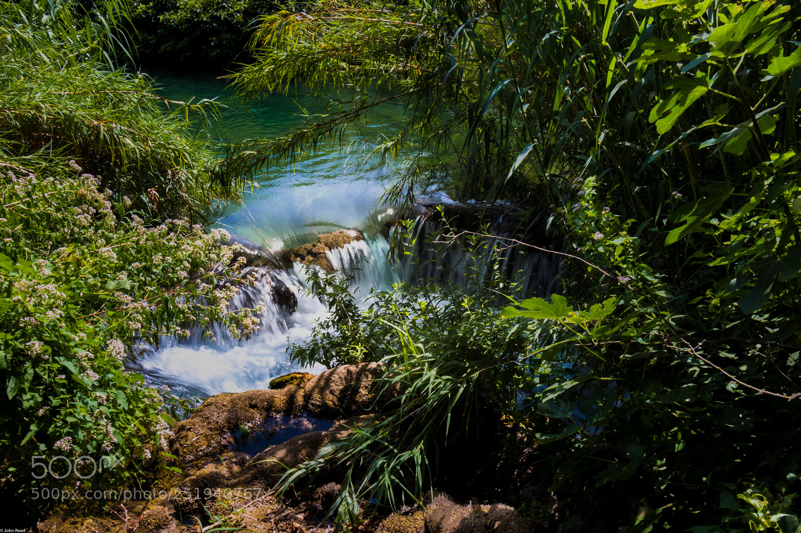 Canon EOS 77D (EOS 9000D / EOS 770D) sample photo. A glimpse of nature photography