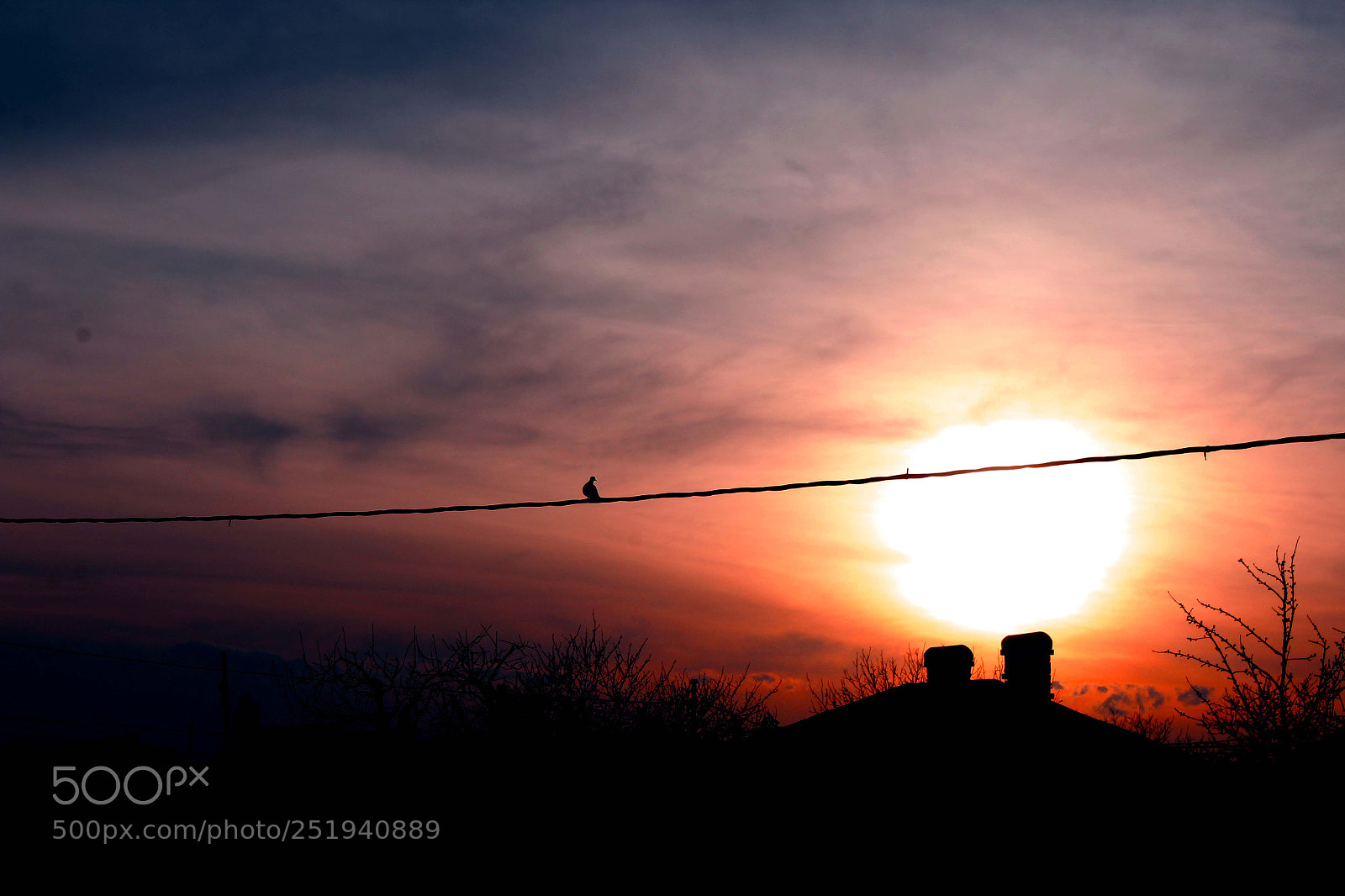 Canon EOS 1300D (EOS Rebel T6 / EOS Kiss X80) sample photo. Sunset photography