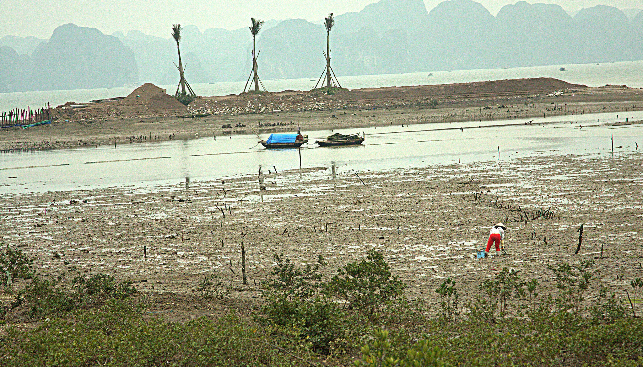 Canon EOS 40D + Canon EF 24-105mm F4L IS USM sample photo. Misty day ha long bay photography